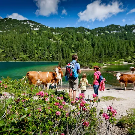 Hotel Der Seebacherhof 3*