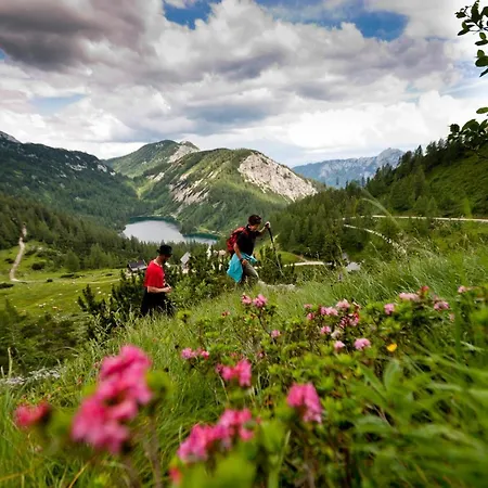 Der Seebacherhof Tauplitz