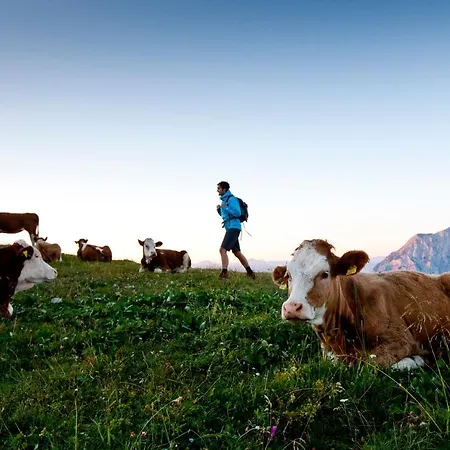 Hotel Der Seebacherhof 3*