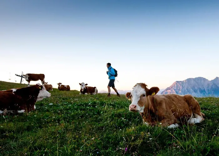 Hotel Der Seebacherhof 3*